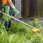 Professional mowing fresh green lawn with striped patterns and edged borders under blue sky