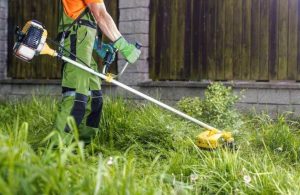 Professional mowing fresh green lawn with striped patterns and edged borders under blue sky