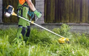Professional mowing fresh green lawn with striped patterns and edged borders under blue sky