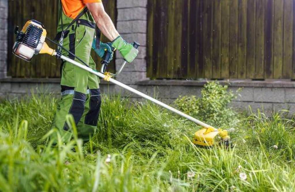 How to Start a Grass Cutting Business: Your Simple Path to Green Profits